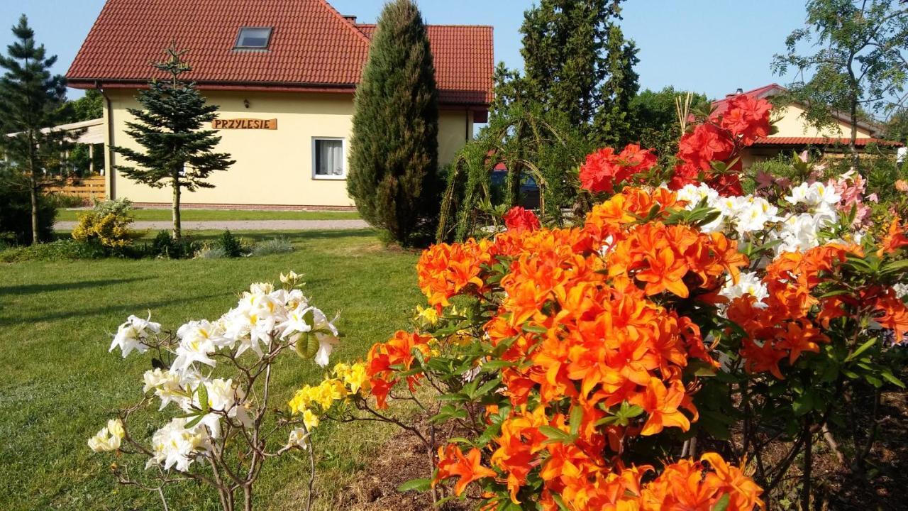 Pokoje Goscinne Przylesie Lobez Ngoại thất bức ảnh